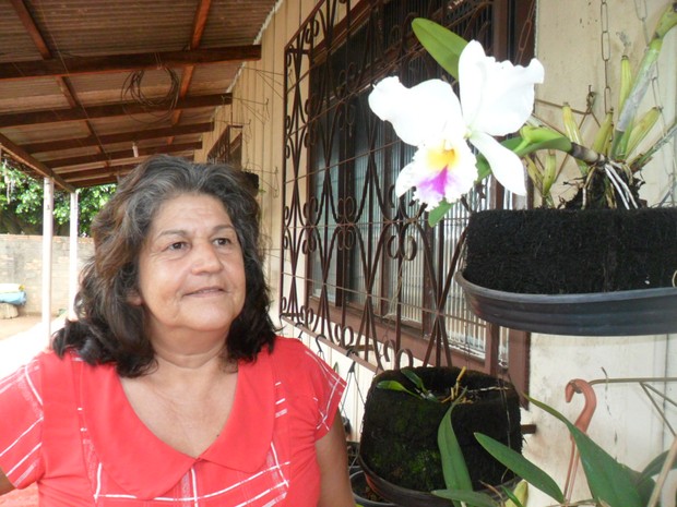 Sandra mantém uma rotina de cuidados com as orquídeas (Foto: Andréia Machado/G1)