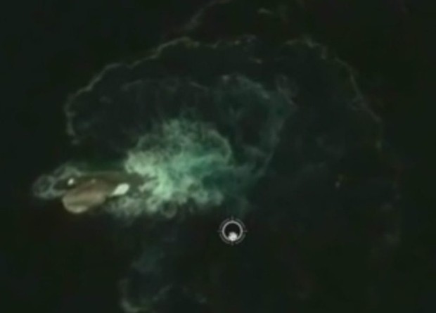 Caçador de monstro diz ter achado criatura de 120 m na costa da Antártica (Foto: Reprodução/Ufo Sightings Daily)