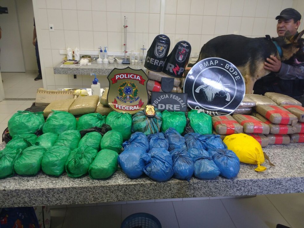 Droga estava em bagagens levadas em camarote (Foto: Divulgação/4º BPM)