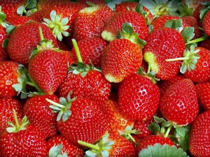 Morango, Estiva, produção, Pouso Alegre, Simpósio (Foto: Arquivo/ Reprodução EPTV) Morango, Estiva, produção, Pouso Alegre, Simpósio (Foto: Arquivo/ Reprodução EPTV)