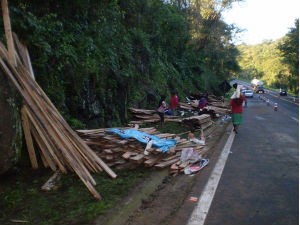 Índios saquearam as madeiras que estavam com a droga escondida  (Foto: Radiodifusão Campo Aberto / Laranjeiras do Sul)