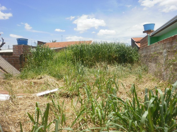 Terreno baldio abandonado na Vila Popular (Foto: Juliano da Silva Souza)
