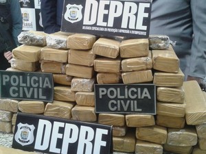 Parte da droga seria levada por mula para São Luís (Foto: Catarina Costa / G1 PI)