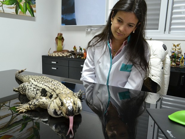 Lagarto exótico Taubaté Amigo Pet (Foto: Filipe Rodrigues/G1) Lagarto exótico Taubaté Amigo Pet (Foto: Filipe Rodrigues/G1)