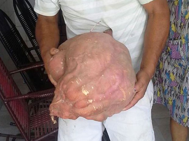 Batata-doce foi colhiada pesando 15 quilos e 750 gramas. Outras três pesando mais de três quilos também foram colhidas (Foto: Jabel costa/Arquivo pessoal)