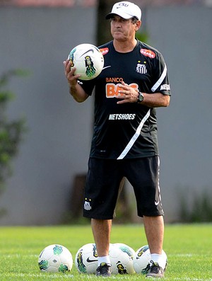 muricy ramalho santos treino (Foto: Ivan Storti / Site Oficial do Santos)