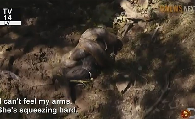 Apresentador do programa norte-americano 'Eaten alive' é envolvido por anaconda em episódio final do programa (Foto: Reprodução / Discovery Channel) Apresentador do programa norte-americano 'Eaten alive' é envolvido por anaconda em episódio final do programa (Foto: Reprodução / Discovery Channel)