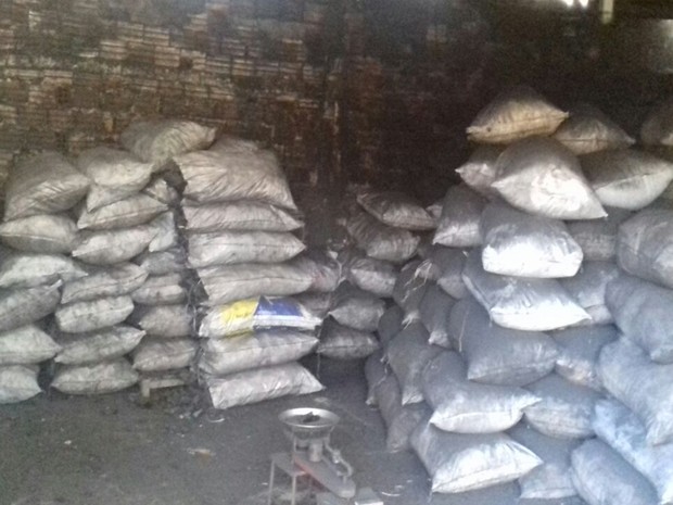 Dezenas de sacos de carvão vegetal foram apreendidos no interior do estado do Maranhão (Foto: Divulgação/Ministério Público do Maranhão)