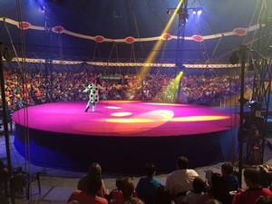Circo também é atração no fim de semana em Natal (Foto: Divulgação/Assessoria)