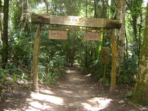 Trilha do Parque Nacional de Ubajara (Foto: Divulgação/ICMBio) Trilha do Parque Nacional de Ubajara (Foto: Divulgação/ICMBio)