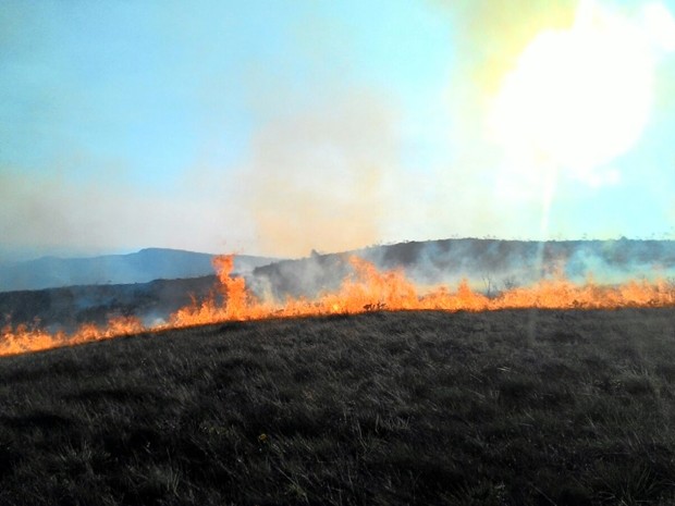 Parque Estadual da Serra da Boa Esperança, Boa Esperança, incêndio (Foto: Corpo de Bombeiros)
