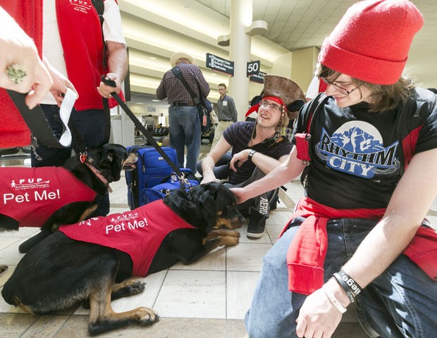 Cães do programa para desestressar passageiros no Aeroporto Internacional de Los Angeles (Foto: Damian Dovarganes/AP Photo)