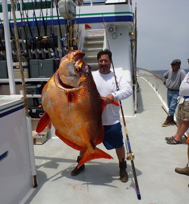 Joe Ludlow exibe peixe opah de 82,10 quilos (Foto: Reprodução/Facebook/Joe Ludlow)