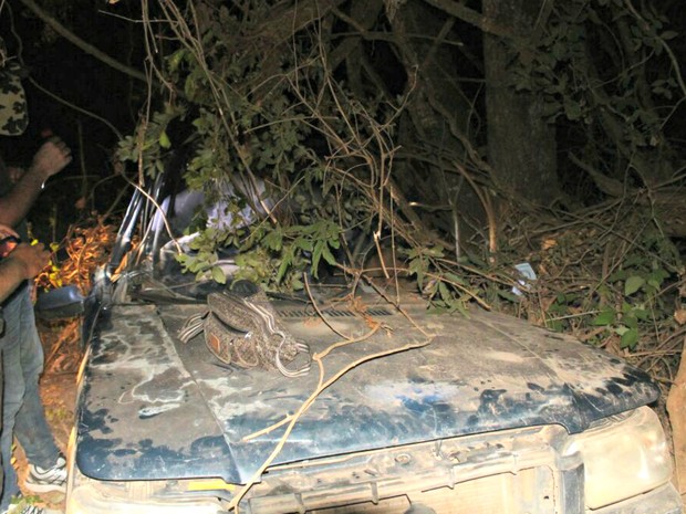 Carro da família saiu da pista, capotou e bateu em árvore (Foto: Corpo de Bombeiros/ Divulgação)