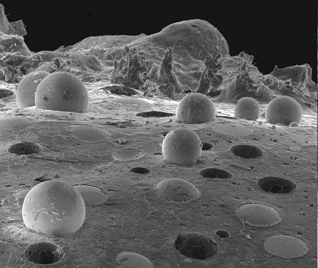   Imagem microscópica parecida com superfície extraterrestre mostra microesferas de cromo metálico sobre um substrato de alumina (Foto: Osvaldo Mitsuyuki Cintho/UEPG/Divulgação)