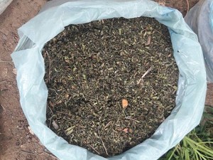 Erva pronta para o consumo apreendida em Santa Maria da Boa Vista (Foto: Divulgação/ 7º CIPM) Erva pronta para o consumo apreendida em Santa Maria da Boa Vista (Foto: Divulgação/ 7º CIPM)