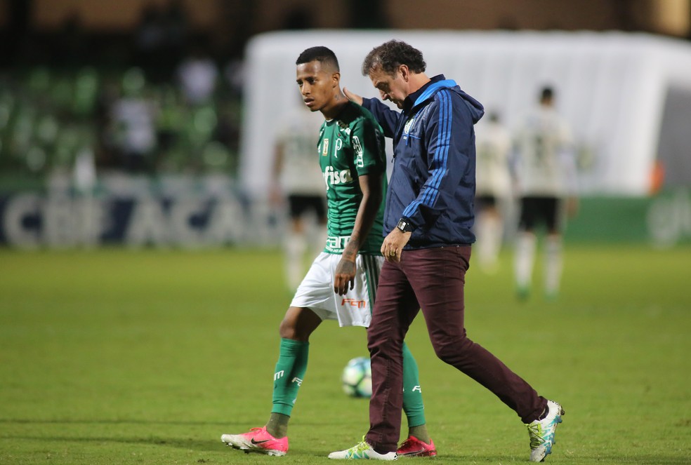 Cuca fala com Tchê Tchê no Couto Pereira. Derrota foi a terceira do Palmeiras no Brasileirão (Foto: Giuliano Gomes/PR Press)