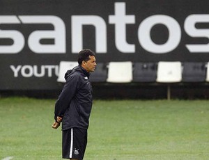 Claudinei Oliveira, treinador do Santos (Foto: Ricardo Saibun/Divulgação Santos FC)