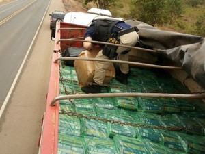 Droga chegou a ser transportada entre macarrão (Foto: PRF-MS/Reprodução)