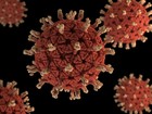 Vírus são mais perigosos de manhã do que à noite, diz estudo