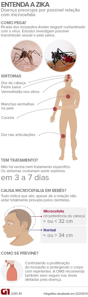Infográfico entenda a zika - arte (Foto: Editoria de arte/G1) Infográfico entenda a zika - arte (Foto: Editoria de arte/G1)