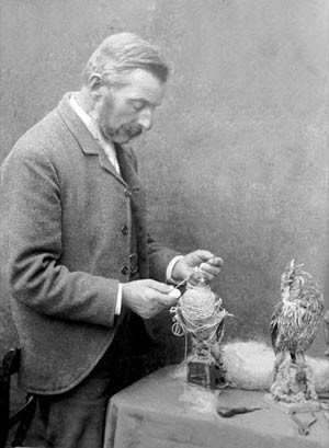 Potter, que morreu em 1918, começou a aprender a taxidermia ainda garoto, aprendendo a preservar corpos de pássaros e animais. Logo após deixar a escola, de início à sua coleção particular (Foto: Pat Morris/Joanna Ebbenstein ) Potter, que morreu em 1918, começou a aprender a taxidermia ainda garoto, aprendendo a preservar corpos de pássaros e animais. Logo após deixar a escola, de início à sua coleção particular (Foto: Pat Morris/Joanna Ebbenstein )