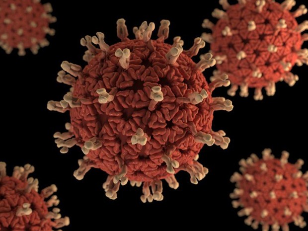  Ilustração representa rotavirus  (Foto: CDC/Jessica A. Allen)
