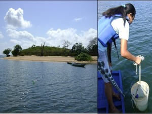 Sâmea  fazendo coleta de algas no Rio Tapajós  (Foto: Divulgação)
