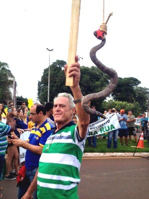 Manifestante levou cobra de borracha para ato em Tangará da Serra  (Foto: Érica Picelli/ TVCA)
