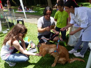 Maria Lúcia levou o cão Bartolomeu ao parque e aproveitou para implantar o microchip nele (Foto: Daiane Baú/G1) Maria Lúcia levou o cão Bartolomeu ao parque e aproveitou para implantar o microchip nele (Foto: Daiane Baú/G1)
