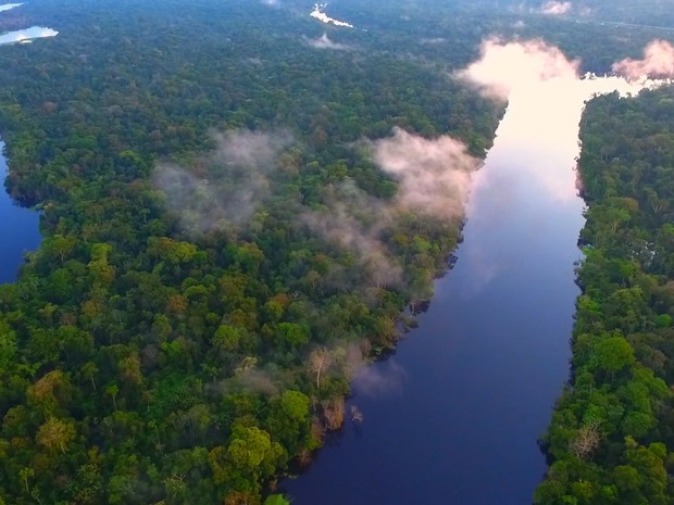 Bastidores do programa 'Expedição Amazônia' (Foto: Globo Repórter)