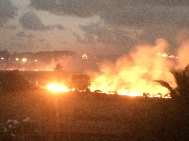 Incêndio na Reserva do Paiva, no Cabo de Santo Agostinho (Foto: Reprodução/TV Globo)