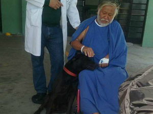 Cão recebeu carinho de dono internado em hospital (Foto: Gustavo Consoline/TEM Você)