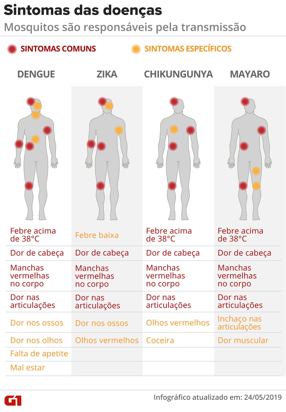 Sintomas de doenças transmitidas por mosquitos — Foto: Rodrigo Sanches e Diana Yukari/G1