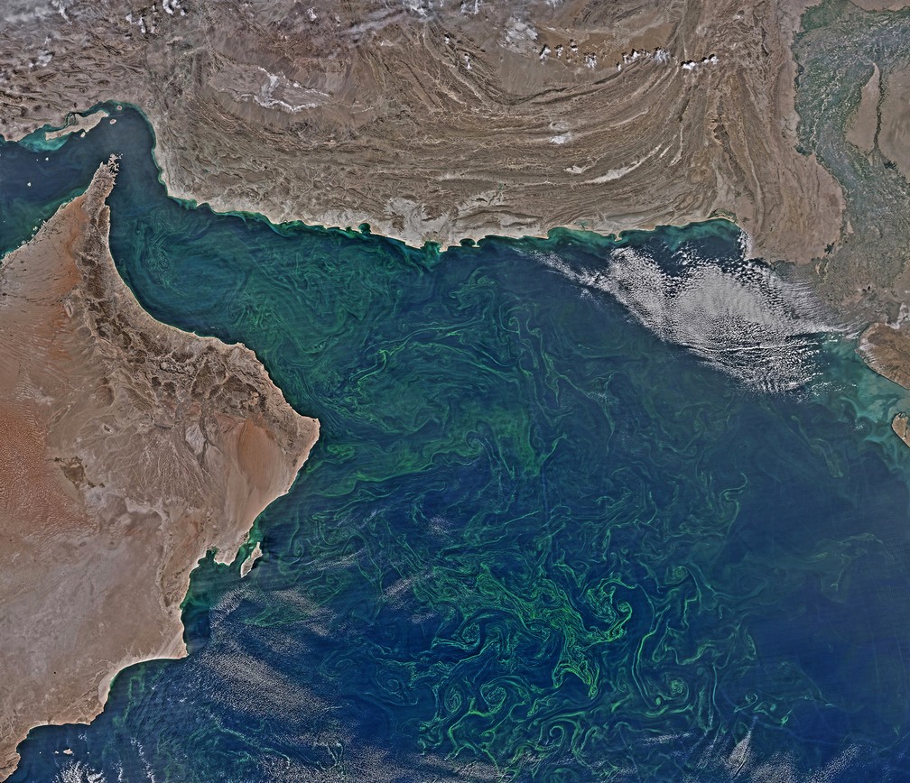  Imagem de satélite mostra manchas verdes brilhantes no Mar Arábico Norman Kuring/Courtesy of NASA, via AP (Foto: Norman Kuring/Courtesy of NASA, via AP)