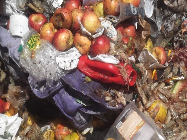 Segundo a Embrapa, todos os anos, 7 milhões de toneladas de frutas são desperdiçados. (Foto: G1/SE)