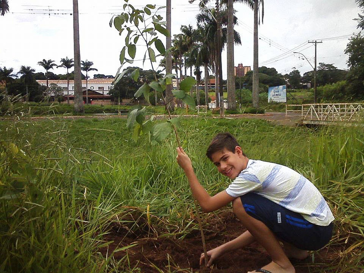 Motorista planta árvores em Jaboticabal para combater o estresse e ... - Globo.com