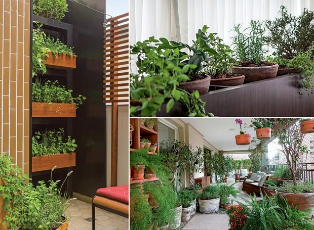 Projetos com hortas dentro de casa, em vasos e jardineiras (Foto: Divulgação)