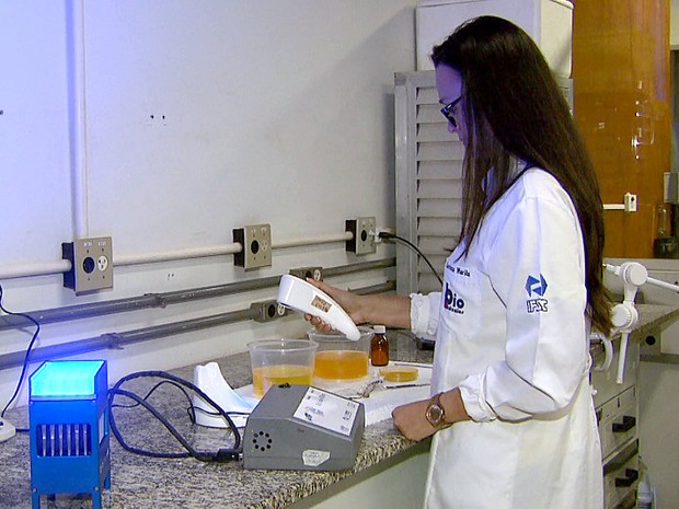Estudos com a substância curcumina ainda estão em fase de testes (Foto: Rodrigo Sargaço/EPTV)