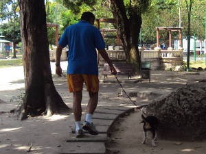 Luis passeia com Lola no horrio permitido (Foto: Thais Rezende/ G1 PA)