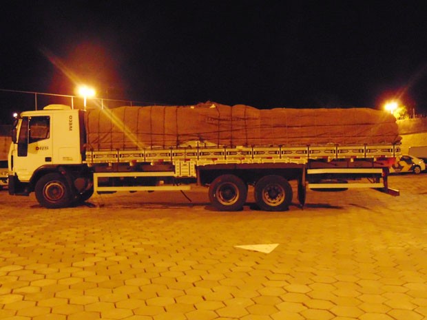 Droga estava na carroceria do caminhão, embaixo de uma carga de farinha (Foto: Polícia Federal/Divulgação)