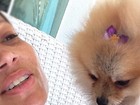 Solange Almeida conta que sua cadela de estimação foi atropelada