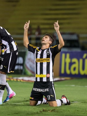 Rafael Marques Fellype Gabriel gol Botafogox Santos (Foto: Celso Pupo / Ag. Estado)