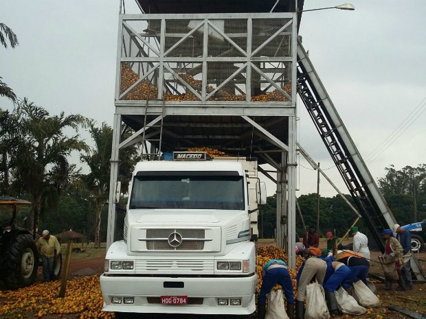 Homem caiu dentro de silo durante trabalho em Brotas (Foto: Corpo de Bombeiros/Divulgação) Homem caiu dentro de silo durante trabalho em Brotas (Foto: Corpo de Bombeiros/Divulgação)