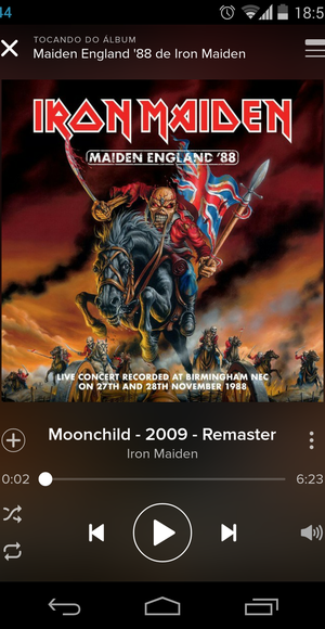 Tela de um álbum no tocador do Spotify no aplicativo para Android (Foto: Reprodução)