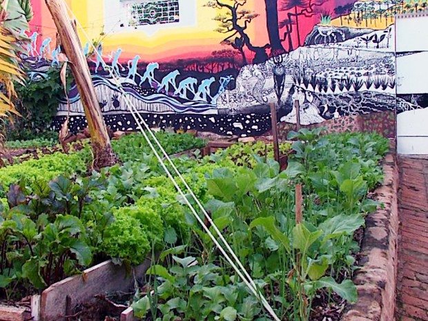 Mesmo em um pequeno espaço, é possível cultivar uma horta.  (Foto: Reprodução/EPTV)