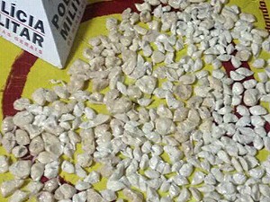 Drogas encontradas enterradas em Juiz de Fora (Foto: Polícia Militar/Divulgação)