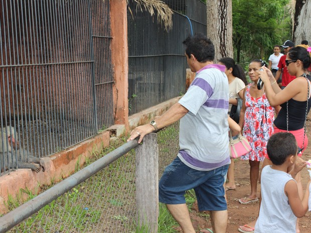 Parque Zoobotânico em Teresina registrou itensa movimentação no feriado desta terça (1º) (Foto: Ellyo Teixeira/G1)