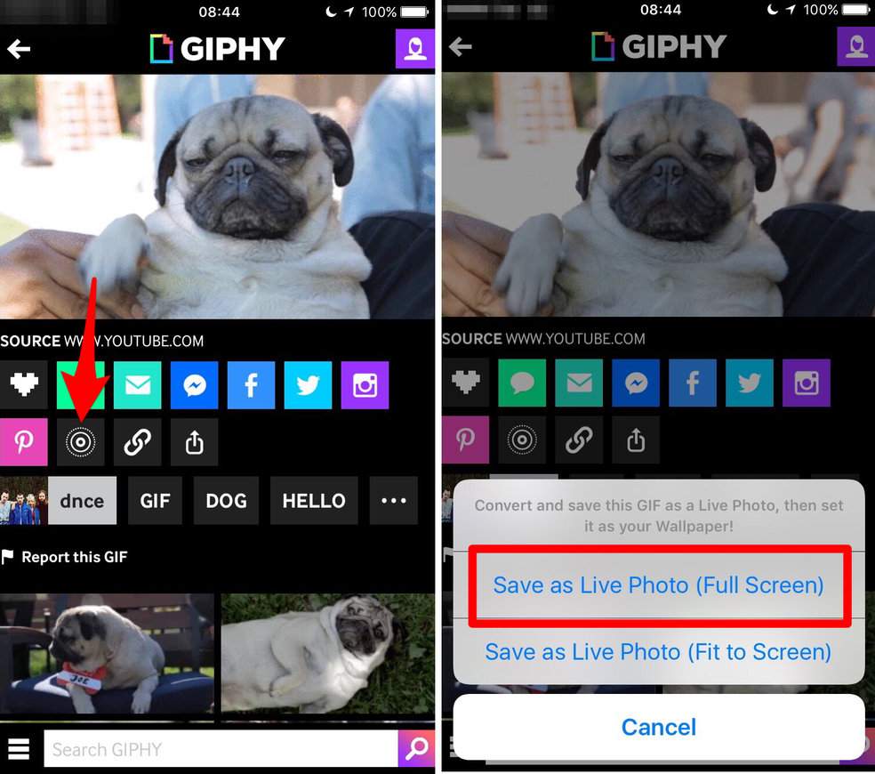 Salve o GIF no iPhone como Live Photo (Foto: Reprodução/Lucas Mendes)