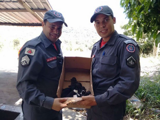 Bombeiros posam com os cães resgatos (Foto: Sheila Patresi/ CCZ)